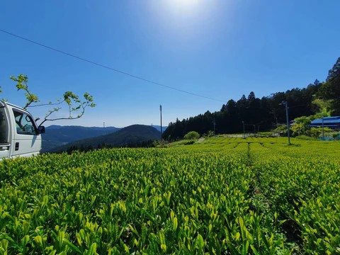 Kamairi-oolong Zairai di Atsumi Tea Garden - 100gr - immagine 4
