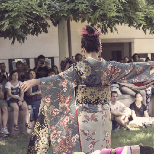 Furisode e kimono da cerimonia